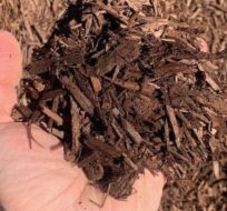 Brown mulch