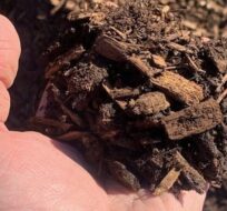 Dark brown mulch