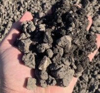 backfill dirt