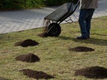 filling voids in lawn