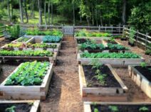 Filling for raised beds