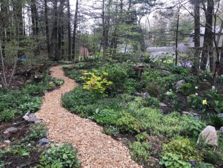 Wood chip pathway wood chip pathway