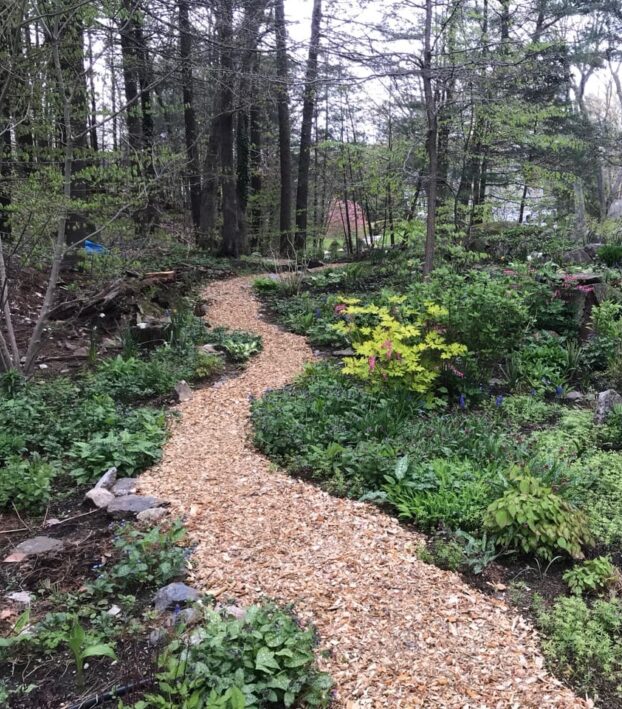 Wood chip pathway wood chip pathway