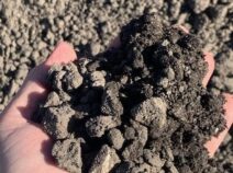 Dirt in Hand backfill dirt