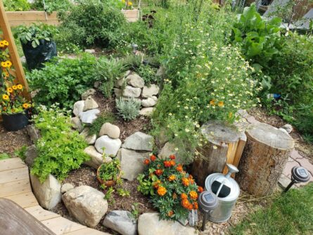 Rock-Herb Garden