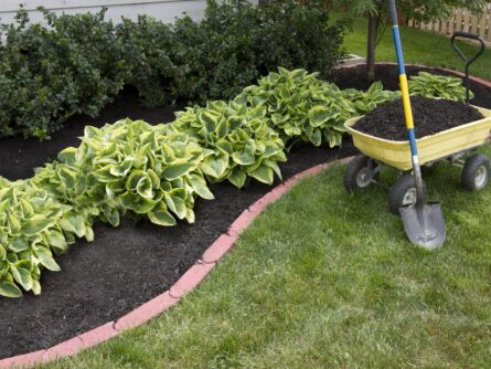 Mulching a garden bed mulching garden beds