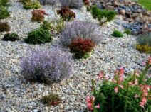 Gravel Gardens